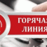 "Горячая линия" по вопросам организации летнего отдыха детей - Менделеевский район