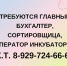 Менделеевец получил 9 лет колонии строгого режима - Газета Менделеевские новости