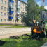 В Менделеевске будут высажены 500 сосен - Менделеевские новости
