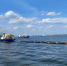 АО «Транснефть — Прикамье» за 9 месяцев 2024 года провело 1,5 тыс. плановых учебно-тренировочных занятий - Менделеевские новости