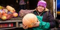 Старт весенних ярмарок в Татарстане: свежие продукты по выгодным ценам - Менделеевские новости