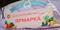 26 апреля в Татарстане пройдут заключительные сельхозярмарки этого сезона - Менделеевские новости