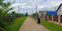 В Татарстане состоится горячая линия для владельцев земельных участков - Менделеевские новости