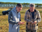 Уборочная кампания в Менделеевском районе выходит на финишную прямую