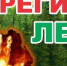 Экстренное предупреждение! О высокой и чрезвычайной пожарной опасности лесов. - Менделеевский район