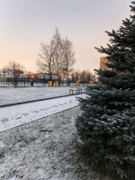 Погода в Менделеевске на 10 декабря: облачно, без осадков