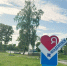 В Менделеевске запустят работу нового экологического кластера - Менделеевские новости