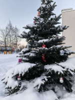 29 декабря в Менделеевске ожидается до -14°C