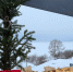 Крещение Господне в Менделеевске: верующие прошли крестным ходом и окунулись в освящённую иордань - Менделеевские новости