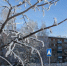 21 февраля в Менделеевске ожидаются метель и порывистый ветер - Менделеевские новости