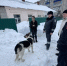 В Менделеевске прошел рейд по безнадзорным животным: хозяевам напомнили о крупных штрафах - Менделеевские новости