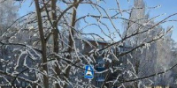 Похолодание до -22 ожидается в Татарстане к концу недели - Менделеевские новости