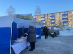 Сезонные сельхозярмарки стартовали в Менделеевске