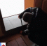 В Менделеевске общественники и власти проверили доступность соцобъектов для инвалидов - Менделеевские новости