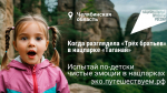 Притяжение природы: 2,6 миллиона россиян выбрали отдых на заповедных территориях страны в начале 2026 года