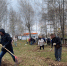 В Менделеевске пройдёт общегородской субботник - Менделеевские новости