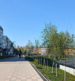 Потепление до +25° ожидается в Менделеевске 5 мая